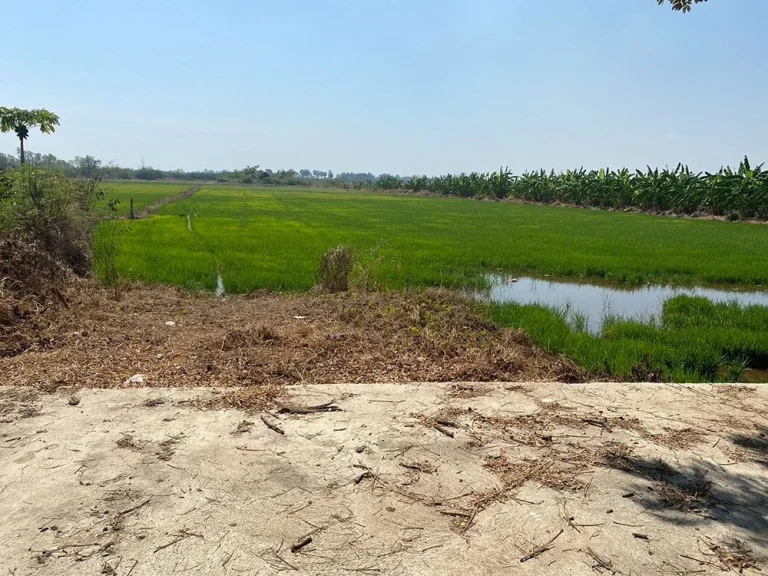 ขายที่ดินใกล้ทะเลหาดเพชร อำเภอท่ายาง เพชรบุรี