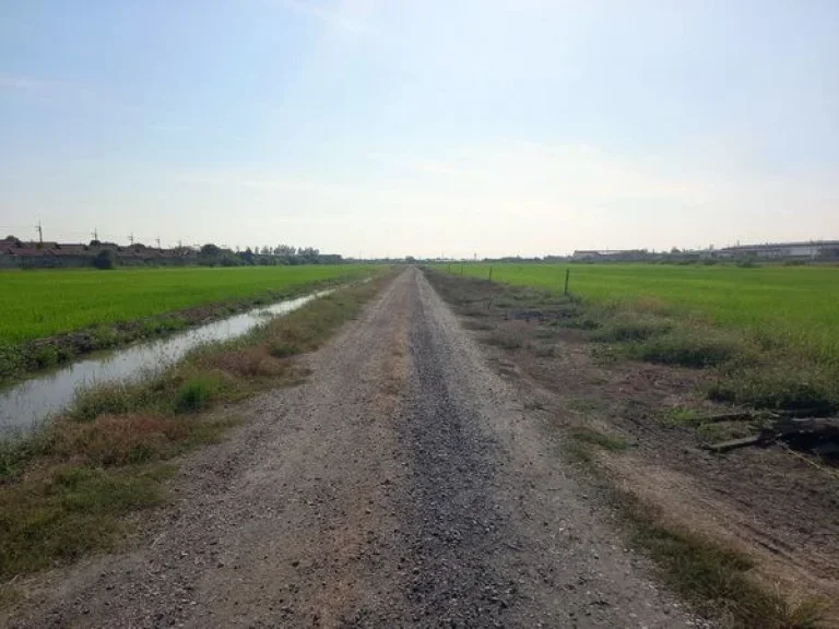 ขายที่ดิน คลองหลวงแพ่ง ซอยวัดวีระโชติ ถนนสุวินทวงศ์