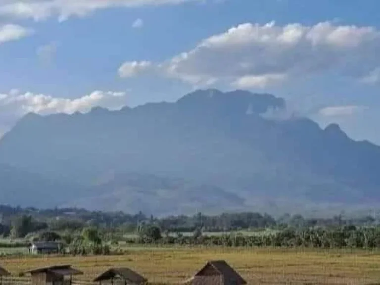 ขายที่ดินบ้านแม่นะเชียงดาวเห็นวิวดอยหลวงชัดเจนพร้อมโอน