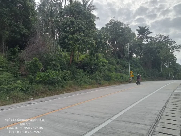 ขายที่ดิน ตบ้านใต้ เกาะพะงัน สุราษฎร์ธานี บ้านค่าย