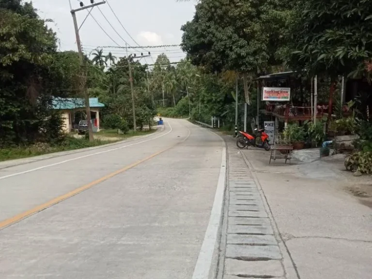 ขายที่ดิน ตบ้านใต้ เกาะพะงัน สุราษฎร์ธานี บ้านค่าย