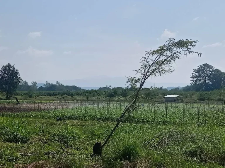 ขายถูกที่ริมน้ำ เขาใหญ่ ขนงพระ วอเตอร์วีล waterwheel