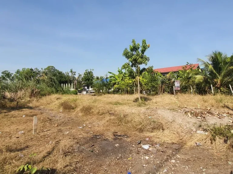 ขายที่ดิน หมู่บ้านเจริญทรัพย์ บางใหญ่ ถคลองถนน นนทบุรี