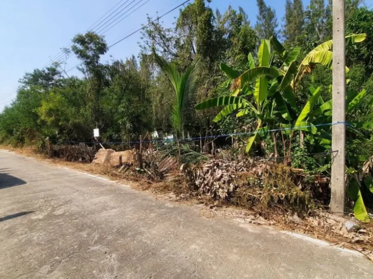 ขายที่ดิน 124 ตรว คลองสาม ติดวัดพระธรรมกาย