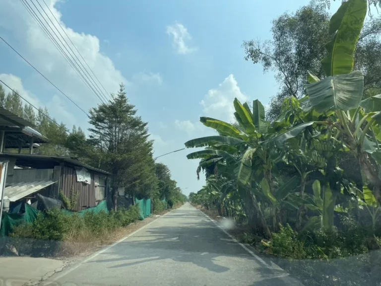 ขายที่ดิน 124 ตรว คลองสาม ติดวัดพระธรรมกาย