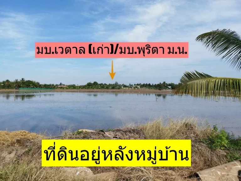 ขายที่ดิน หมู่ 7 วัดพริก เมืองพิษณุโลก ใกล้ มนเรศวร 63 กม