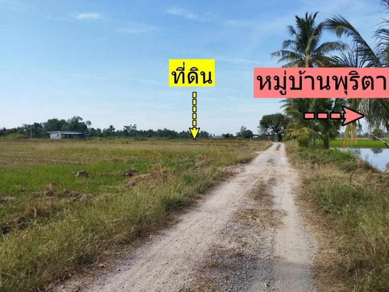 ขายที่ดิน หมู่ 7 วัดพริก เมืองพิษณุโลก ใกล้ มนเรศวร 63 กม