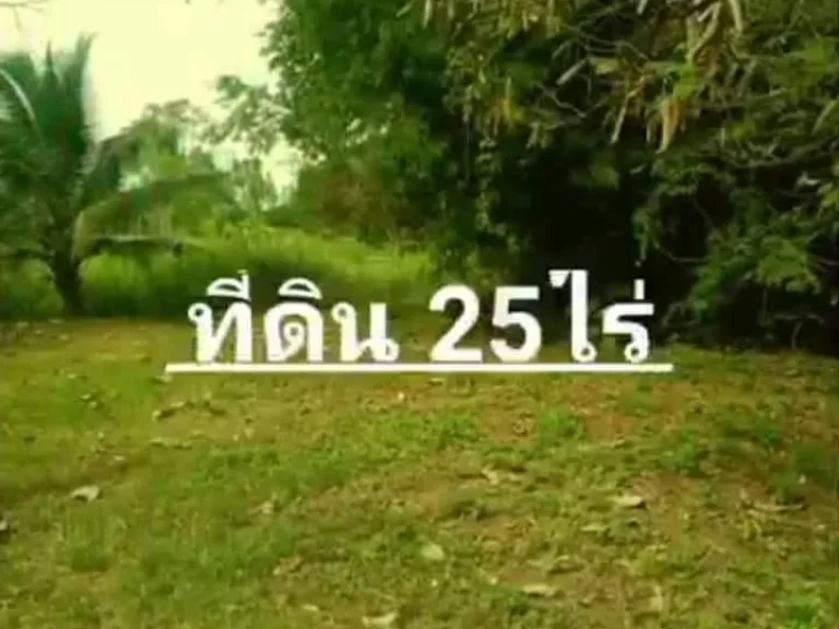 ขายที่ดิน25ไร่ ผสมสวน ไร่นา มีหนองน้ำ พิกัด บ้านม่วง