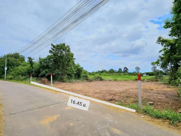 ขายที่ดินพลูตาหลวง สัตหีบ เนื้อที่ 125 ตรว บางเสร่ กม10