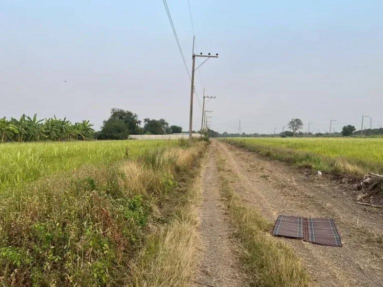 ขายด่วน ที่ดินถูก คลอง 9 เริ่ม 100 ตรว หนองเสือ ปทุมธานี