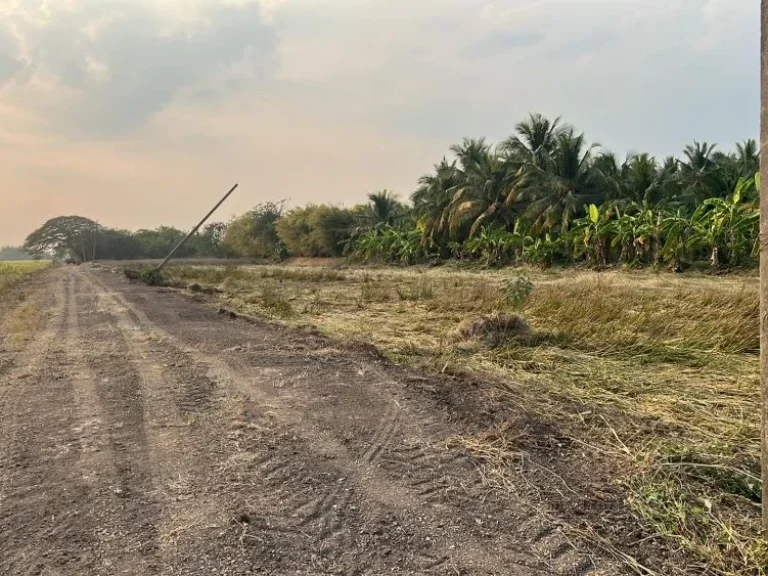 ขายด่วน ที่ดินถูก คลอง 9 เริ่ม 100 ตรว หนองเสือ ปทุมธานี