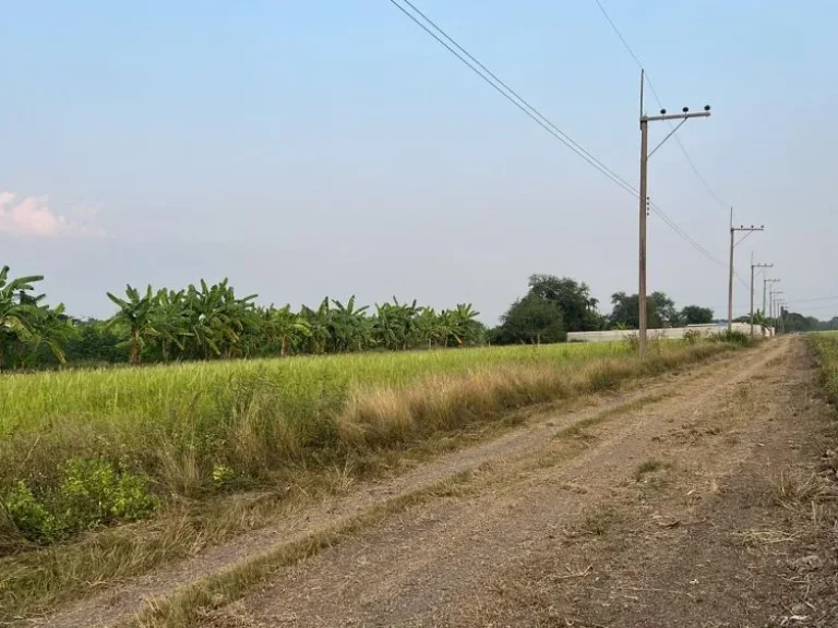 ขายด่วน ที่ดินถูก คลอง 9 เริ่ม 100 ตรว หนองเสือ ปทุมธานี