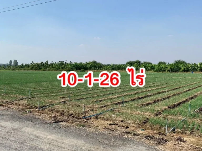 ขายที่ดินทำเลดี 10ไร่ ใกล้ถนนแสงชูโต แหล่งชุมชน