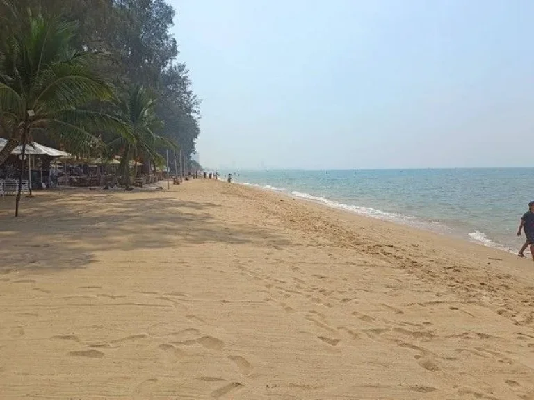 ที่ดินติดริมทะเลหาดส่วนตัว ทะเลนาจอมเทียน 2 ไร่ครึ่ง