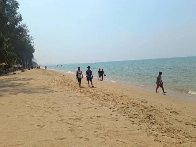 ที่ดินติดริมทะเลหาดส่วนตัว ทะเลนาจอมเทียน 2 ไร่ครึ่ง