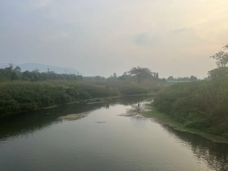 ที่ดินติดลำห้วยแม่ประจันต์ วิวภูเขา อยู่ในแหล่งความเจริญ