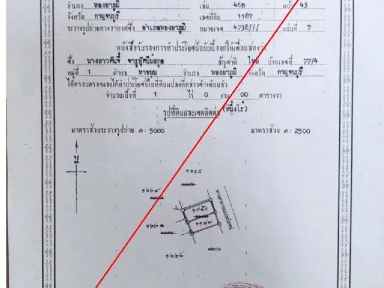 ขายที่ดิน อทองผาภูมิ ใกล้ตลาด ใกล้โรงพยาบาล แหล่งชุมชน