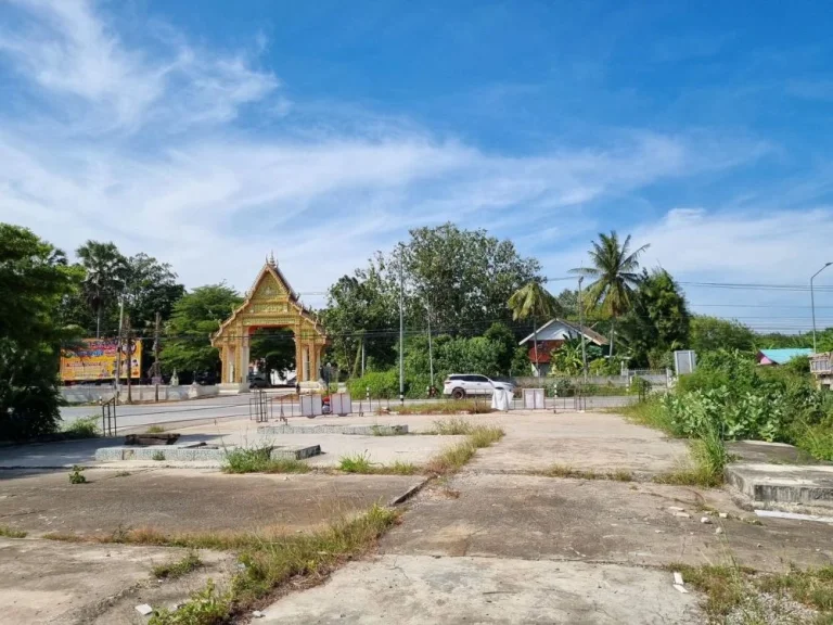 ขายที่ดินใกล้ สถานีรถไฟความเร็วสูงปากช่อง 1 ไร่