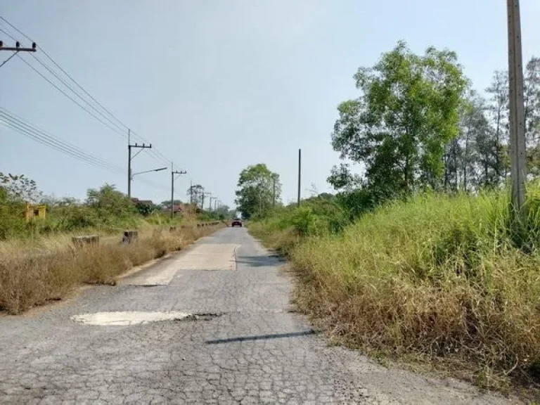 ขายที่ดินคลอง13 หนองเสือ ปทุมธานี แปลงมุม 110 ตรว มี 2