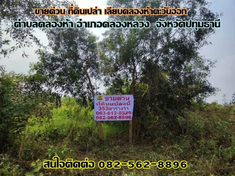 ขายด่วน ที่ดินเปล่า เลียบคลองห้าตะวันออก คลองหลวง-ปทุมธานี