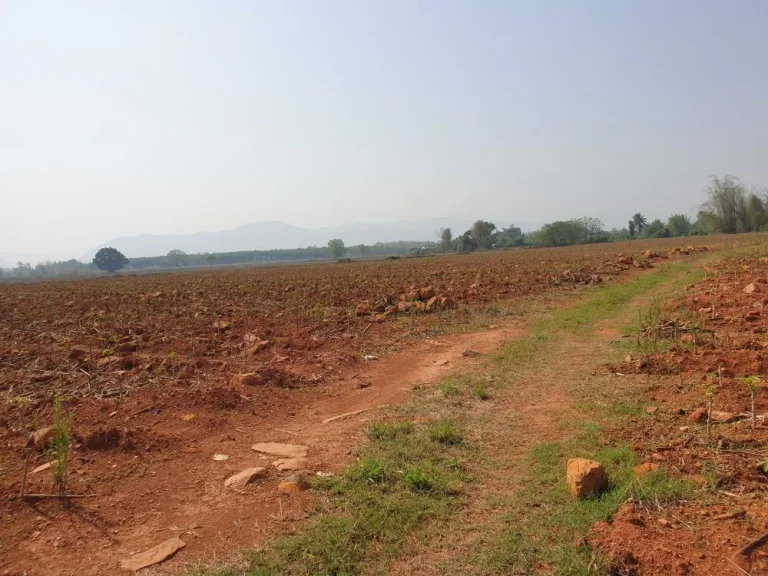 ขายที่ดินทำเลเศรษฐกิจ 50 ไร่ ใกล้สะพานมิตรภาพไทย-ลาว แห่งที่