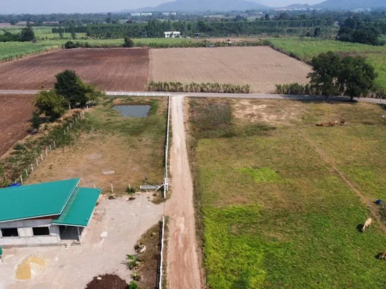 ขายที่ดิน 100 ตรวหมู่บ้านทุ่งไล่ไก่ เขตเทศบาลหินกอง