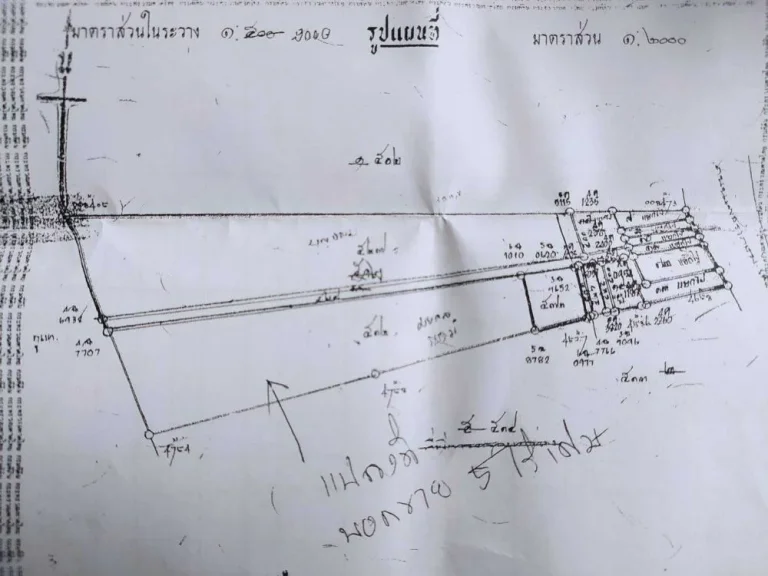 ขายที่ดินในเมืองพังงา ติดภูเขา 5 ไร่ เจ้าของขายเอง