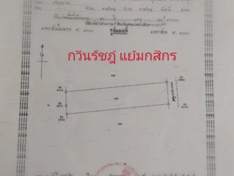 ขายที่ดินบ้านพรุติดถนนกาญจนวนิช43 ไร่ 318 ตารางวาขายไร่ละ