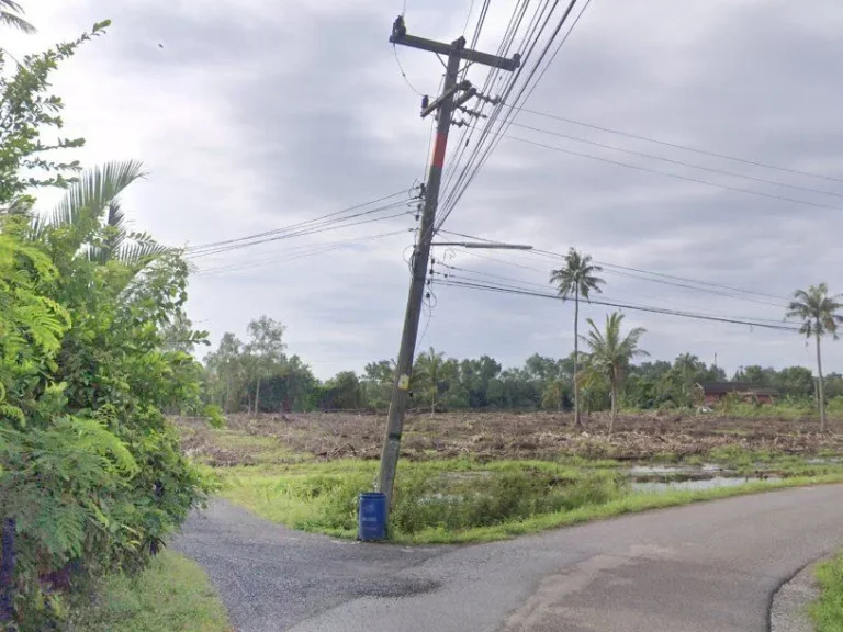 ขายที่ดินบางแก้ว แปดริ้ว 9 ไร่ ซอยวัดสัมปทวนนอก ติดถนนลาดยาง