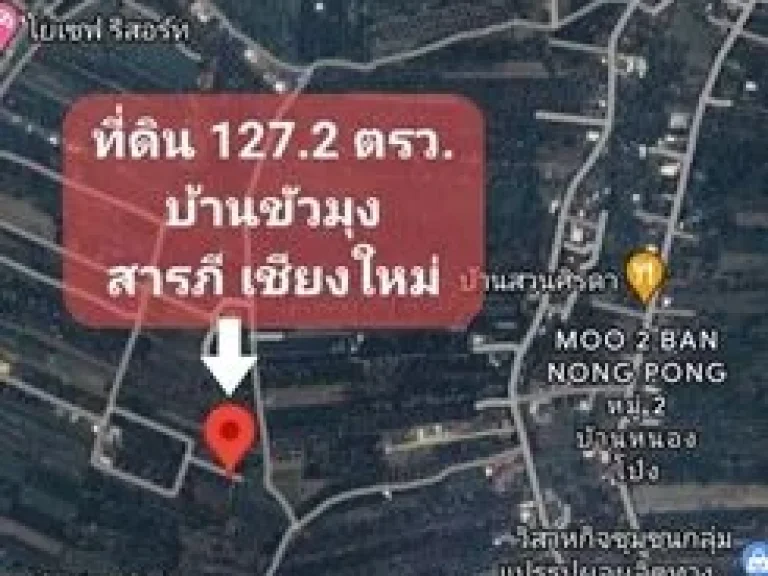 ขายที่ดิน สวนลำใย ตขัวมุง อสารภี เชียงใหม่ ขนาด 1272 ตรว