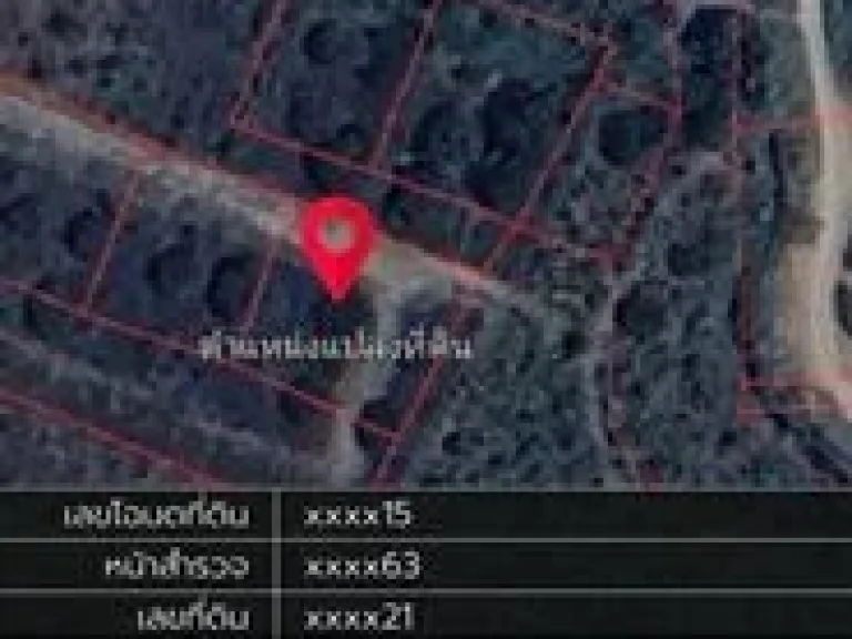 ขายที่ดิน สวนลำใย ตขัวมุง อสารภี เชียงใหม่ ขนาด 1272 ตรว