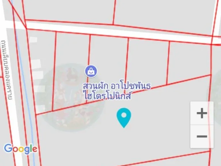 ที่ดิน 6 ไร่ในสวนหลวง กระทุ่มแบน สมุทรสาคร