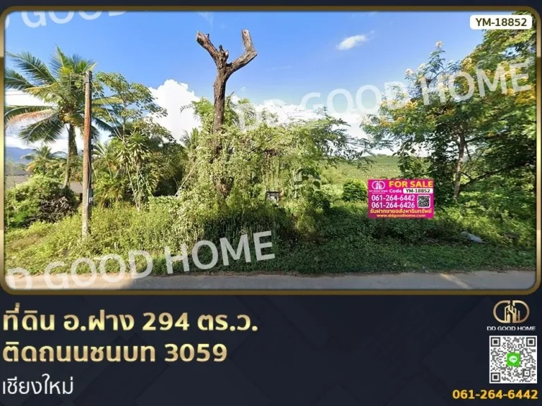 ที่ดิน อฝาง 294 ตรว ติดถนนชนบท 3059 เชียงใหม่