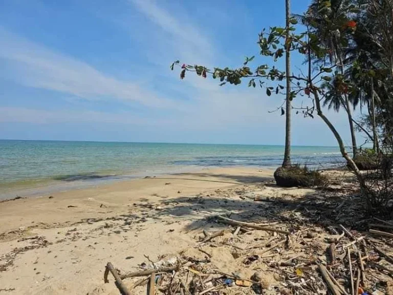 ที่ดินทำเลสวย ติดทะเล หาดทรายขาว ที่ อท่าชนะ