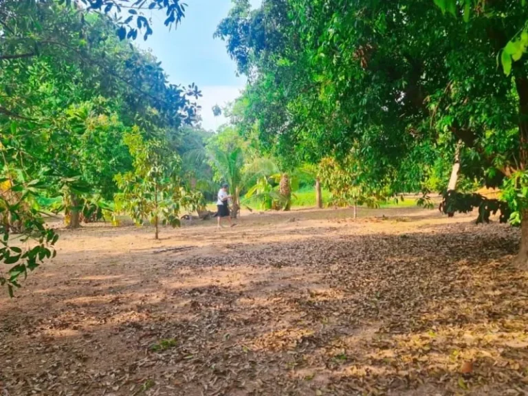 ขายที่ดิน ติดถนนสุขุมวิท สัตหีบ ทำเลดี พร้อมสิ่งปลูกสร้าง