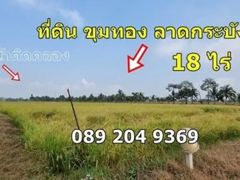 ขายที่ดินราคาถูก ติดคลอง แขวงขุมทอง ลาดกระบัง กทม ขนาด 18