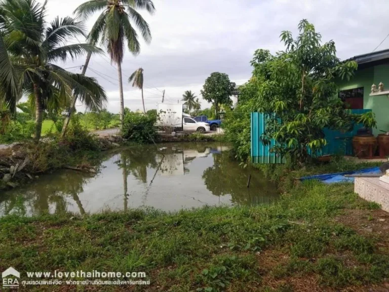 ขายที่ดินพร้อมบ้าน ลาดหลุมแก้ว ตระแหง ปทุมธานี พื้นที่ 1 ไร่