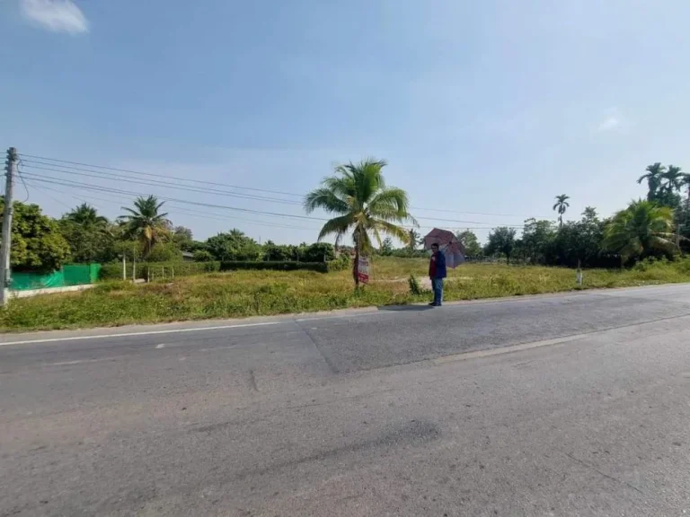 ขายที่ดินถมดินเรียบร้อยยุหว่าสันป่าตองโฉนดพร้อมโอน