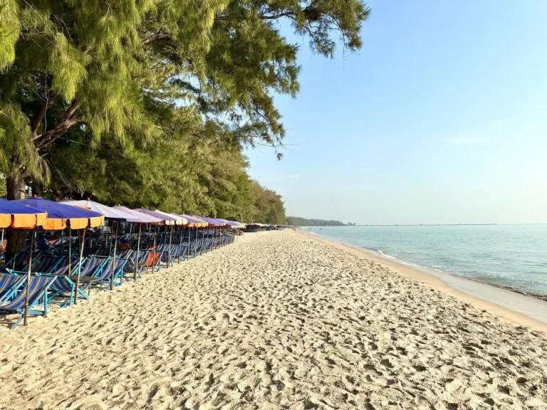 ขายที่ดิน 1 ไร่ ใกล้ มศิลปากร ใกล้ชายหาดชะอำ เพชรบุรี