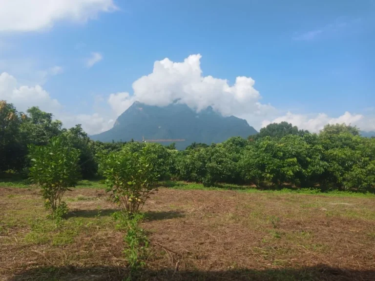 บ้านพร้อมที่สวนและบ้านพักรับรองทำเลดีเงียบสงบ