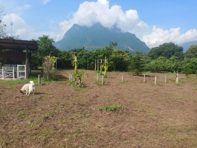 บ้านพร้อมที่สวนและบ้านพักรับรองทำเลดีเงียบสงบ