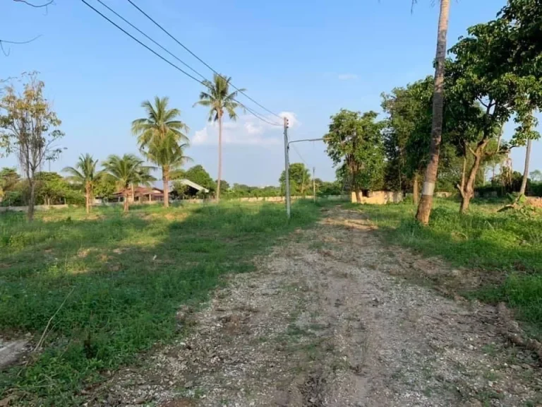 ประกาศขายบ้านพร้อมที่ดิน หลังโรงเรียนชายพิษณุโลก