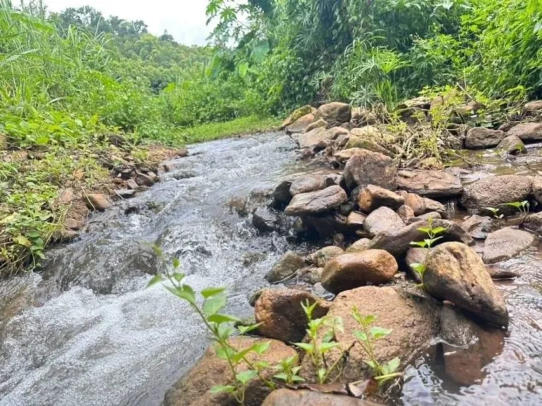 ขายที่ดินเนินสวยติดลำธารน้ำสะเมิงเหนือสะเมิงโฉนด