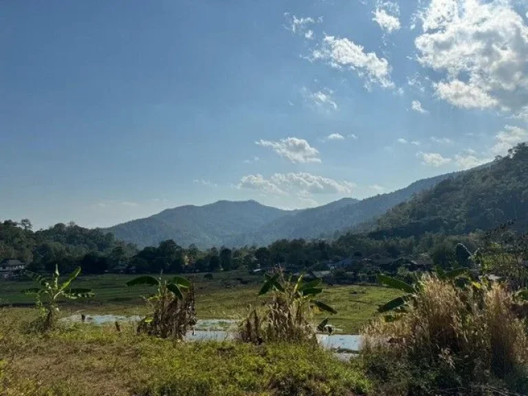 ขายที่ดิน 25 ไร่ พร้อมปางช้าง อำเภอแม่แตง จังหวัดเชียงใหม่