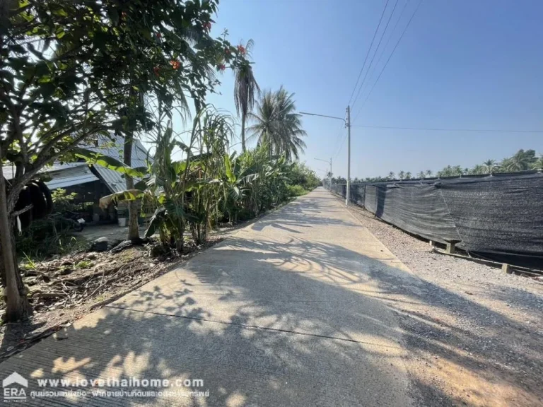 ขายที่ดินพร้อมสวนมะพร้าว ตบางยาง อกระทุ่มแบน สมุทรสาคร