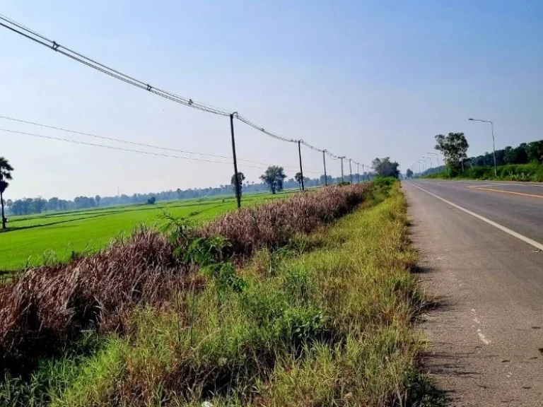 ขายที่ดินเปล่า 5-1-68 ไร่ ติดถนนศิริรัฐยา1039 ตวังตะโก