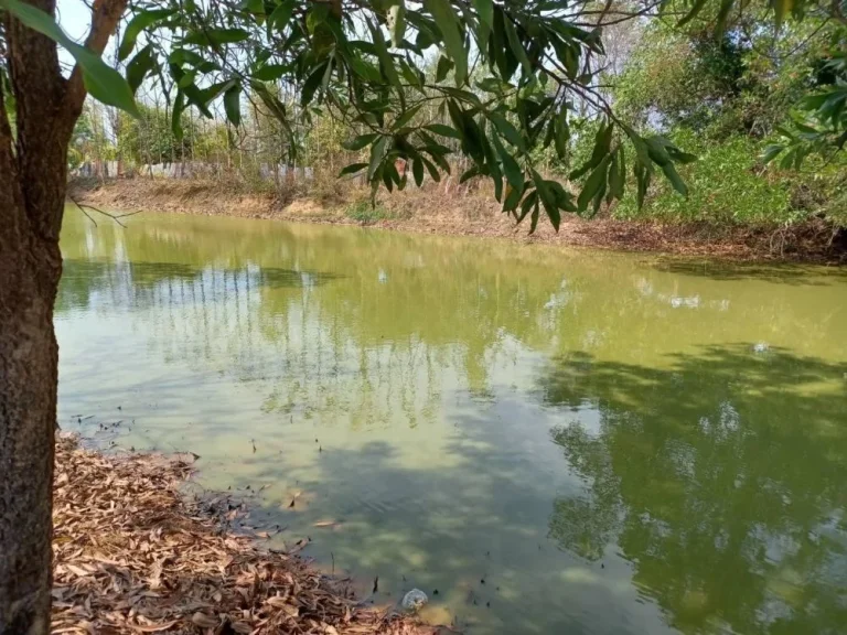 ขายที่ดิน 23 ไร่ เจ้าของขายเอง บ้านโนนสา จอุดรธานี