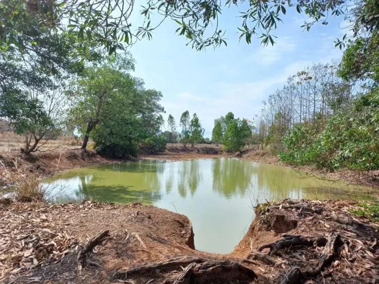 ขายที่ดิน 23 ไร่ เจ้าของขายเอง บ้านโนนสา จอุดรธานี