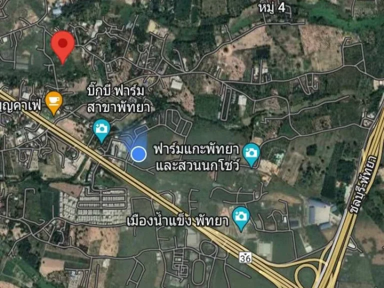 ขายที่ดิน กลังร้านป้าบุญคาเฟ่ ถนนเส้น36 ใกล้ฟาร์มแกะพัทยา