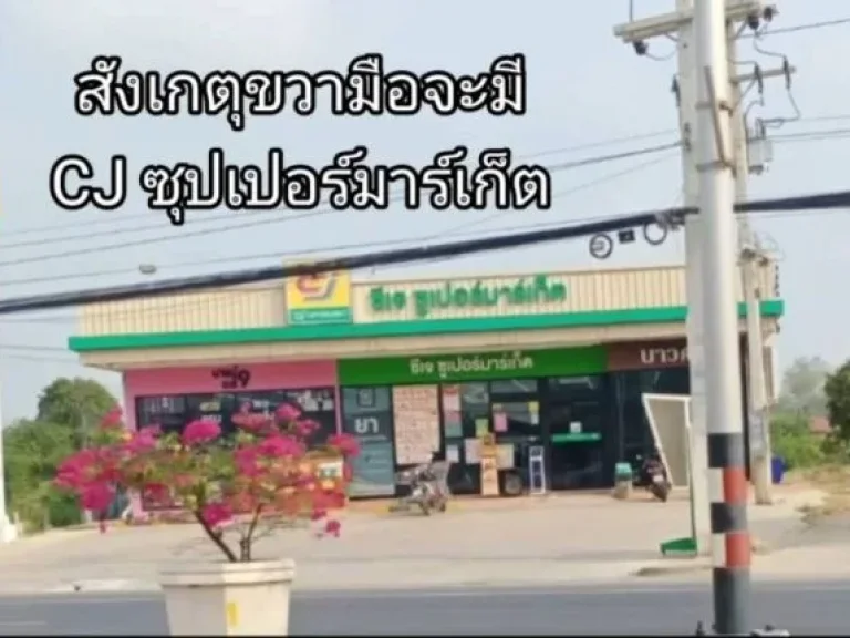 ขายที่ดิน แถมบ้าน มี2แปลง ซศรีทองคำฟิล์ม ตศาลาแดง อเมือง